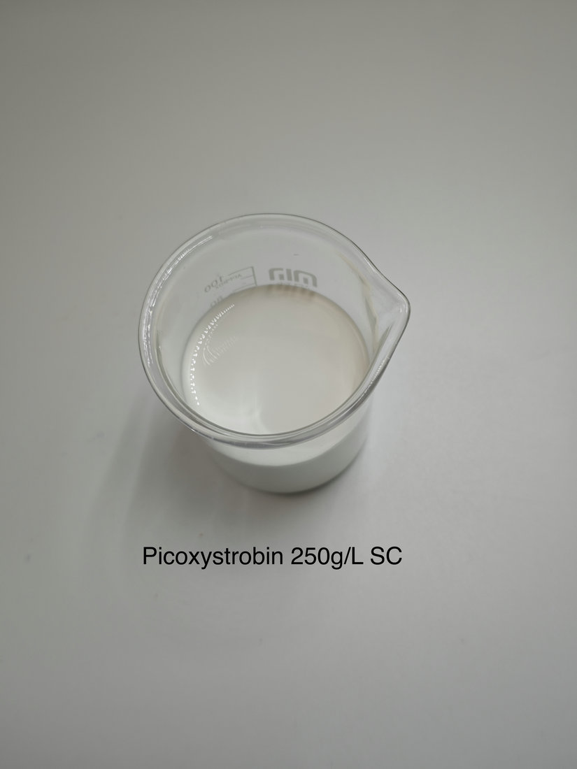 Picoxystrobin 250g/L SC